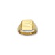 Sello de oro rectangular liso
