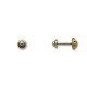Pendiente de oro de orla y perla 3 mm